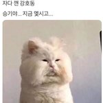 [모두드루와] 이거 강호<b>동임</b>??