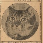 [모두드루와] <b>옛날</b>시대 고양이 생김새