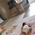 [강아지] 우리 집 댕댕이랑 애기랑 너무 귀엽다 인간적으로