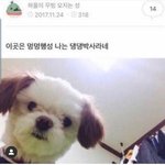 [모두드루와] 댕댕이의 <b>위엄</b>