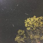 오늘 첫 눈 왔는데 넘 행복해 ㅠㅠ