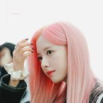 [모두드루와] 핑크머리 <b>보나</b>