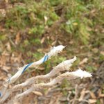 [도와주세요] 법적인 조언 부탁드립니다. 경찰수사관련..