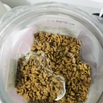 고양이 <b>사료</b>에서 이런게 나왔습니다