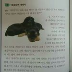 [모두드루와] <b>그</b> 유명한 욕의 <b>의미</b>