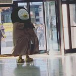 [모두드루와] 한 남자아이돌 몰카 찍힘