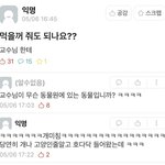 [모두드루와] 먹을꺼 줘도 되나요??