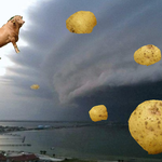 [19] 고3/<b>n수중</b>에지구 했던사람 ㅜㅜ