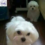 니가 내 동생 떄렸냐