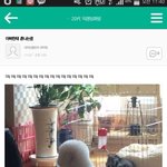 아빠한테 혼나는 멍뭉찡