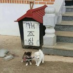 개조심 <b>하라</b>그