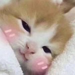 [댓글부탁해] 이거 <b>입덕</b> 맞음ㅍㅍ??