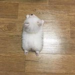 [19] <b>순수</b>하고 잘생긴남자랑 사귀는중ㅎ