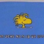 [드루와] 얘들아 내 상황 <b>추반점</b> ,,^*^