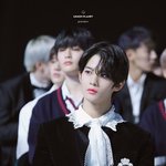 배진영 ㄹㅇ <b>왕자</b>님이네