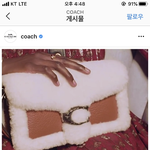 헐 이 태비백 <b>연말선물</b>로 딱이에요 ㅠㅠ