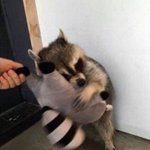 얘들아 <b>청원</b> 좀 도와줘 ㅜㅜ