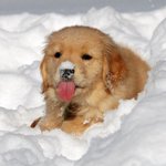 [이것좀봐줘] 청원 동의 부탁해