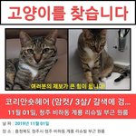 <b>생사</b>조차 알 수 없지만 땡큐(다솜)를 찾을 수 있게 도와주세요(청주시...