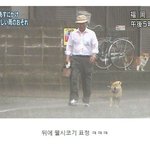 태풍따윈 우릴 못 막아