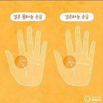 여러분들의 손금은..?