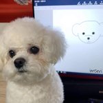 그림이 너무 슬픔