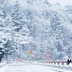 [댓글부탁해] <b>수능</b> 끝난 고삼인데