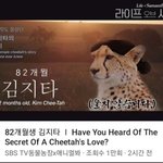 [드루와] 애니멀봐가 페미조롱함ㅋㅋ