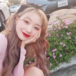 음식 명언 날린 러블리즈 수정