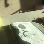 내 안경 개신기해