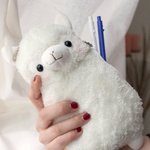 [댓글부탁해] 얘 나 좋아하는 걸까