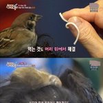 [드루와] <b>동물</b>농장 레전드...