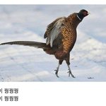 [드루와] 아 너무 <b>춥다</b> ㅠ