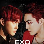 [EXO] 준종백은 깃발없고 <b>장신</b>즈는 깃발있네 뭐야