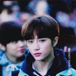 <b>txt</b> 팬들 얘네 누구야?????