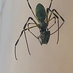 [댓글부탁해] 흡연여성을 멀리해야 하는 이유