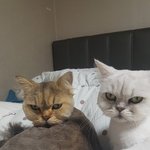 추가)서울대 <b>음대</b> 수시 2차 실기보고옴