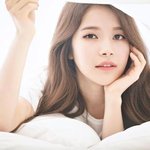 [의견] 이런 얼굴 개 좋아