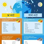 [모두드루와] 영양제 종류별 <b>섭취</b>방법 1장으로 정리