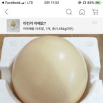 [댓글부탁해] 쿠팡 별의별거 다파네 진짜