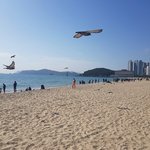 부산은 아직도 따뜻해?