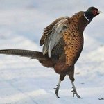 추울땐..