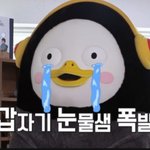 만약에 프듀라는 프로그램이 없었다면?