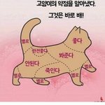 [모두드루와] 고양이의 <b>약점</b>