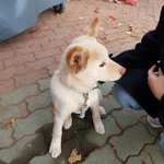 [꼭봐주세요] 경주 마스코트 금동이의 <b>사연</b>