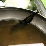 까마귀<b>깃털</b> 나온 경북대 긱식 수준;(약혐)