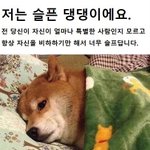 저는 슬픈 댕댕이에요