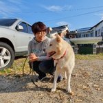 [강아지] 똑띡이 <b>진도</b> 올리버 가족이 되어주세요