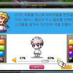 내메이플캐릭터보구가