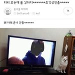 [프듀<b>X</b>] 티비 보는뎈ㅋㅋㅋㅋ